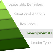 Innovative Leadership - Developmental perspective