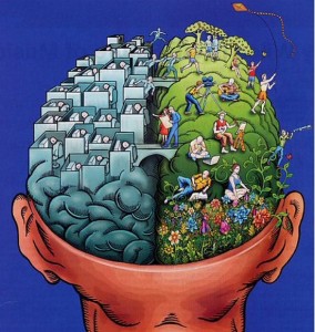 Leader's brain